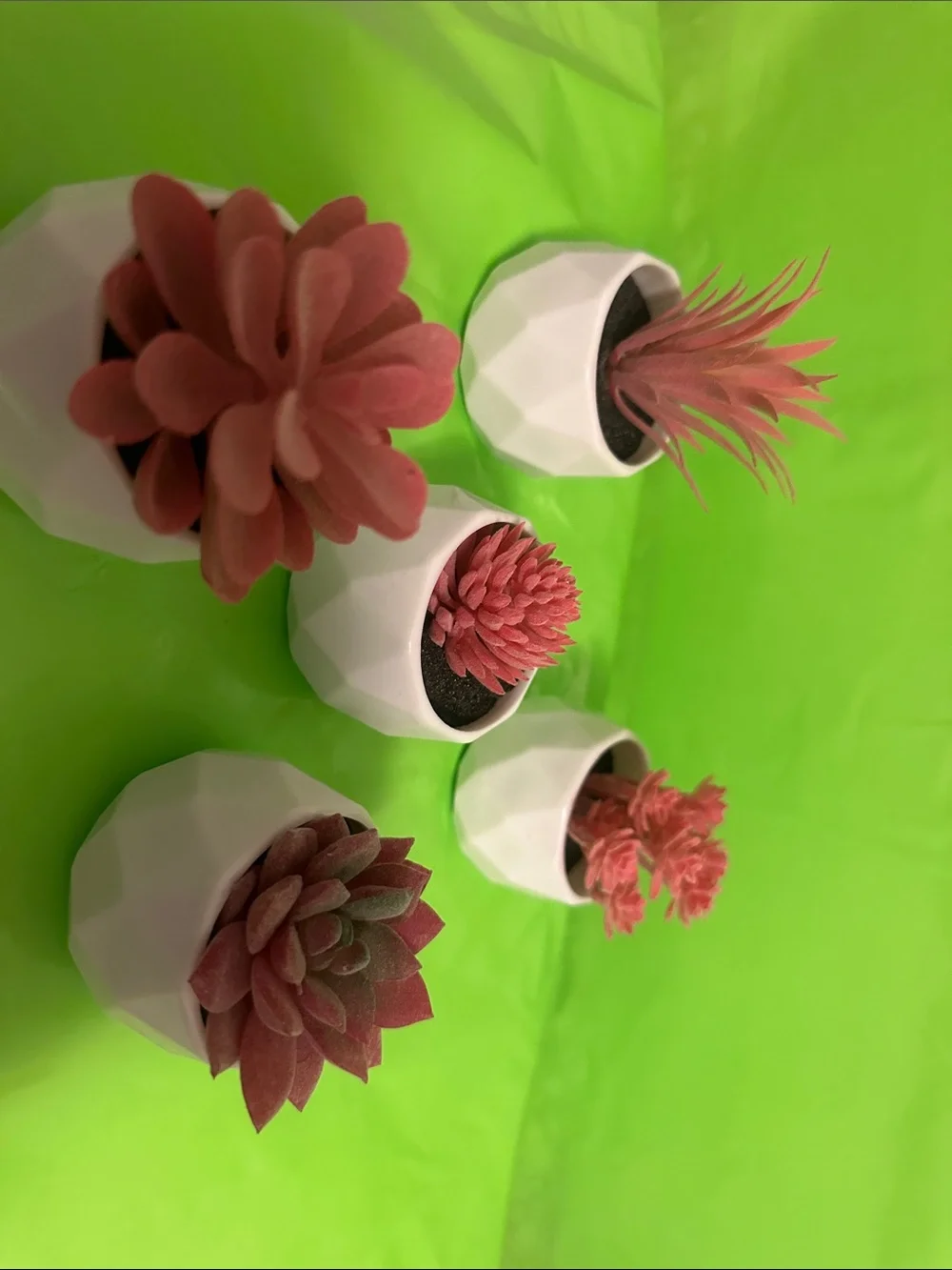 White Geometric Ceramic Planter Set with Pink Succulents - Home Accents